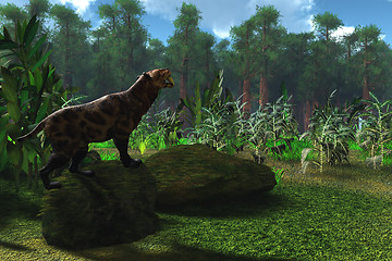 Image showing Saber-Tooth Cat Age