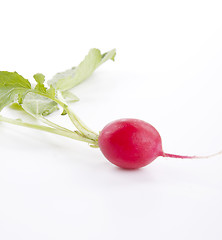 Image showing fresh red radish isolated on white background