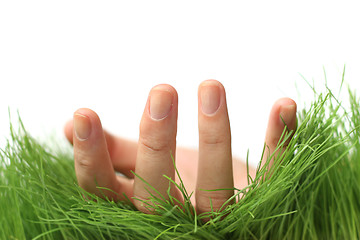 Image showing Hand in Grass