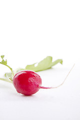 Image showing fresh red radish isolated on white background