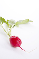 Image showing fresh red radish isolated on white background