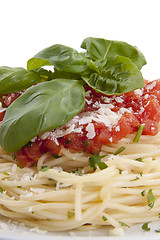 Image showing tatsty fresh spaghetti with tomato sauce and parmesan isolated