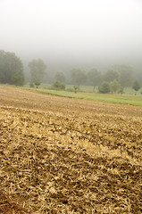 Image showing Stubble mulch