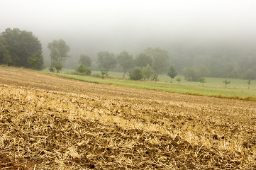 Image showing Stubble mulch