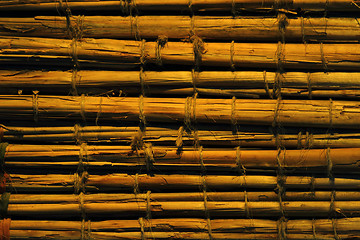 Image showing bambus background