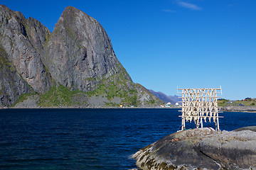 Image showing Drying stockfish