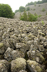 Image showing Sea of basalt