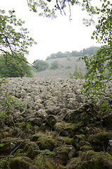 Image showing Sea of basalt
