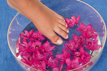 Image showing Feet in the water