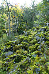 Image showing Slope of basalt blocks 02