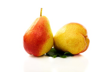 Image showing Two ripe pears