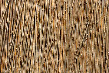 Image showing Fragment of reed fence