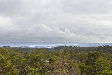 Image showing view over forest with cloudy sky