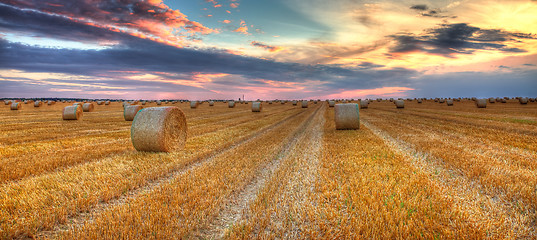 Image showing Sunset over the field