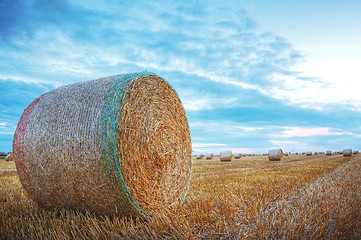 Image showing Hay Bales