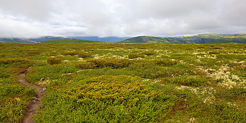 Image showing Rondane Norway