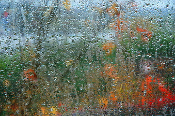 Image showing People in the Rain