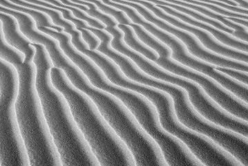 Image showing Black and white image of ridges in sand dunes of California coas