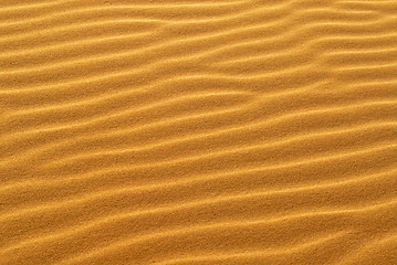 Image showing Pattern of golden sand on sand dune
