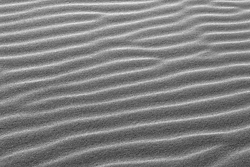 Image showing Black and white pattern of ridges in sand dune