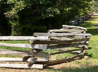 Image showing Split rail fence by edge of forest
