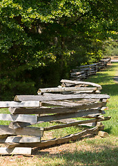 Image showing Split rail fence by edge of forest