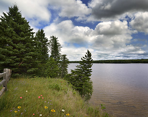 Image showing Lake Shore