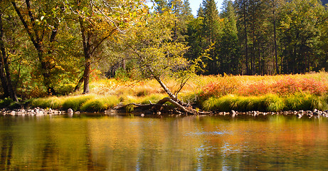 Image showing Shore of Merced River in Yosemite National Park