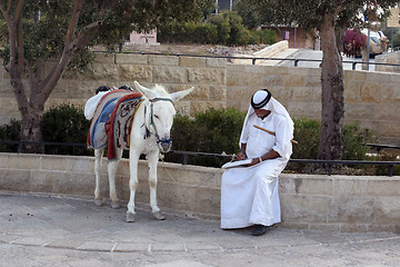 Image showing Unidentified Bedouin man wait tourist near his mule in Jerusalem