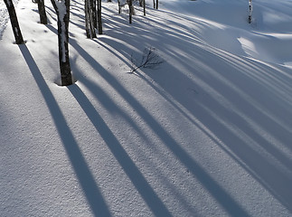 Image showing winter snow background