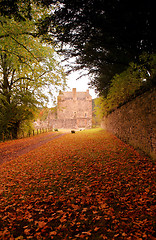 Image showing Neidpath Castle, Peebles