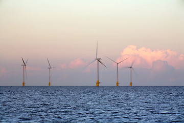 Image showing Wind farm at sunset