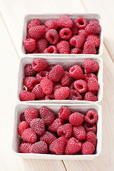 Image showing lots of raspberries