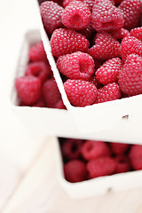 Image showing lots of raspberries