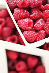 Image showing lots of raspberries