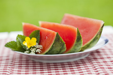 Image showing Watermelon