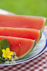 Image showing Watermelon