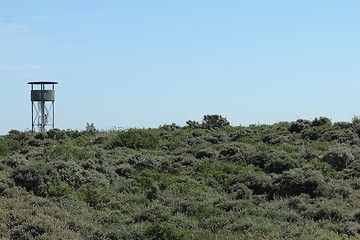 Image showing watch tower in beach dunes plants