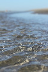 Image showing river beach at low tide