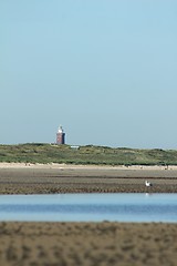 Image showing low tide coastline