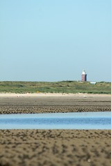 Image showing low tide coastline