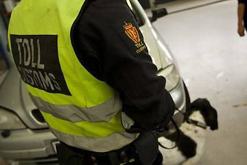 Image showing Customs officer