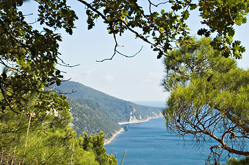 Image showing Sea coast