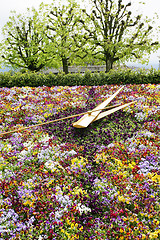 Image showing large flower clock in Switzerland