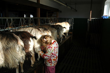 Image showing Hoping for milk to breakfeast