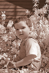 Image showing Infrared Boy Toddler