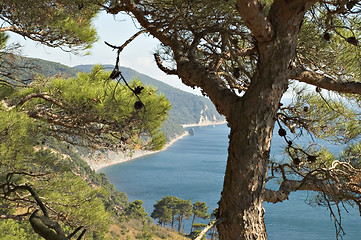 Image showing Sea coast