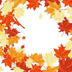 Image showing Autumn maples