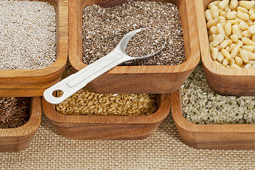 Image showing chia and other healthy seeds