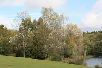 Image showing Autumn Landscape